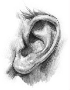 finished-ear.jpg