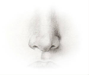 nose6.jpg