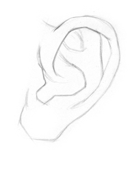 draw-ears-step2.jpg