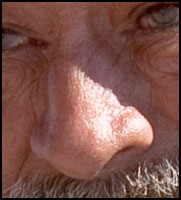 nose-reference.jpg